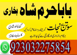 authentic amil baba canada kala jadu expert england usa famous amil baba america
