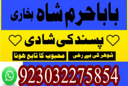 authentic amil baba canada kala jadu expert england usa famous amil baba america