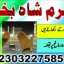 d3 amil baba in saudia arab amil baba in uk amil baba in usa amil baba in uae amil baba in dubai 11 d3 amil baba in saudia arab amil baba in uk amil baba in usa amil baba in uae amil baba in dubai 11
