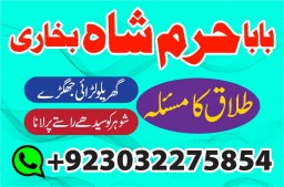 authentic amil baba canada kala jadu expert england usa famous amil baba america