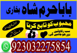 authentic amil baba canada kala jadu expert england usa famous amil baba america