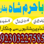 authentic amil baba canada kala jadu expert england usa famous amil baba america