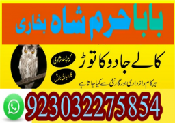authentic amil baba canada kala jadu expert england usa famous amil baba america