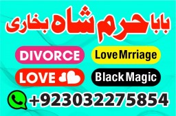 authentic amil baba canada kala jadu expert england usa famous amil baba america