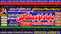 online istikhara for love marriage vashikaran specialist love problem solution astrologer B2