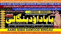 love problem solution specialist online love problem solution love marriage specialist A1