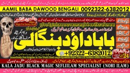 Love Vashikaran Specialist Kala Jadu Expert Specialist In USA Kala Jadu Expert In UAE A3