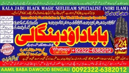 Kala Ilam Expert in Amercia Kala Ilam Expert Specialist In Kala Ilam Expert Specialist In Qatar B6