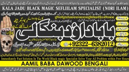 Love Vashikaran Specialist In Delhi Best Vashikaran Specialist Vashikaran Uk USA A3