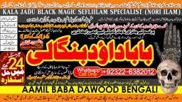 Kala Jadu Expert Specialist In Malaysia Kala Jadu Expert Specialist In Australia Love Vashikaran C1
