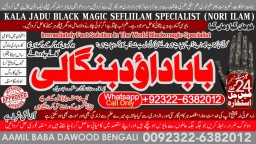 Black Magic Expert in Amercia Black Magic Expert Specialist In Spain B8