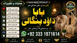 Amil Baba Tantrik Pandit Hindu Astrologer Love Problem Amil Baba Divorce Problem Sloution F7