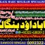 Amil Baba Tantrik Pandit Hindu Astrologer Love Problem Amil Baba Divorce Problem Sloution A9