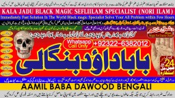 Amil Baba Tantrik Pandit Hindu Astrologer Love Problem Amil Baba Divorce Problem Sloution D6