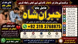 Amil Baba Tantrik Pandit Hindu Astrologer Love Problem Amil Baba Divorce Problem Sloution F3