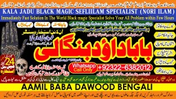 Love Vashikaran Specialist Kala Jadu Expert Specialist In USA Kala Jadu Expert In UAE B8