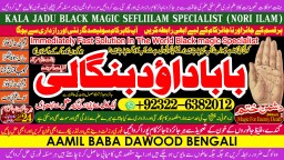 online istikhara for love marriage vashikaran specialist love problem solution astrologer A6