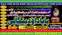 love problem solution specialist online love problem solution love marriage specialist A8