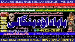 D6 online istikhara for love marriage vashikaran specialist love problem solution astrologer