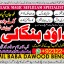 D8 online istikhara for love marriage vashikaran specialist love problem solution astrologer