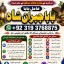 Amil Baba kala ilam,istikhara,taweez Amil baba,kala jadu,online istikhara Black magic specialist F2