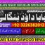 Amil Baba Amil Baba Kala ilam Kala Jadu Aamil Baba Amil baba in pakistan online amil baba E1