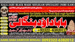 Amil Baba Tantrik Pandit Hindu Astrologer Love Problem Amil Baba Divorce Problem Sloution A5