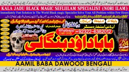 Amil Baba Tantrik Pandit Hindu Astrologer Love Problem Amil Baba Divorce Problem Sloution C1