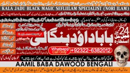 Powerful Vashikaran Specialist Baba Vashikaran Specialist For Love Vashikaran Specialist B3