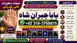 online istikhara for love marriage vashikaran specialist love problem solution astrologer E3