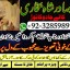top1 amil baba in pakistan,black magic expert in pakistan,asli amil baba in lahore,real amil baba in 7 top1 amil baba in pakistan,black magic expert in pakistan,asli amil baba in lahore,real amil baba in 7