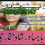 top1 amil baba in pakistan,black magic expert in pakistan,asli amil baba in lahore,real amil baba in 5 top1 amil baba in pakistan,black magic expert in pakistan,asli amil baba in lahore,real amil baba in 5