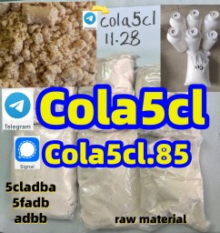 strongest adbb 5cladba precursor raw material 5f adb 4fadb strongest adbb 5cladba precursor raw material 5f adb 4fadb
