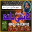 Top Amil Baba in Malaysia,Real Amil Baba In Pakistan,Black magic Expert in Pakistan,Certified No1 Ro