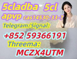 Hot Sell Product CAS 14530-33-7 Good Quality