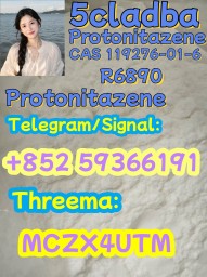 CAS 119276-01-6 Protonitazene (hydrochloride)
