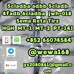 5cladba 5cl precursors 5cl-adb-a 5cladb-a 6cladba k2 powder spice