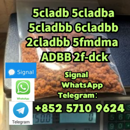Adbb 5cladba powder 5cladba raw material 5CL-ADB-A