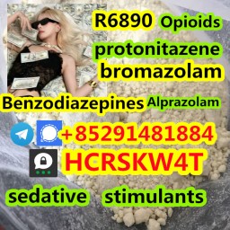 high quality Protonitazene cas 119276-01-6 +85291481884