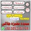 black magic expert in pakistan kala jadu specialist 4