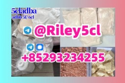 Chemical  strongest adbb 5cladba precursor raw material  5f adb  4fadb