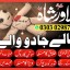 Amil baba in faisalabad,amil baba in hyderabad,amil baba in peshawar