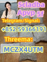CAS 14530-33-7 A-PVP Reliable supplier