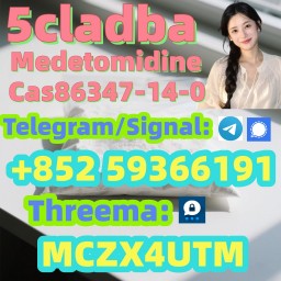 Medetomidine Cas86347-14-0 Reliable supplier
