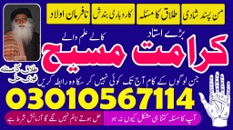 Top 10 astrologer in USA Best Indian astrologer in USA Famous astrologers in USA