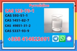 China factory supply Pyrrolidine 123-75-1