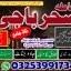 specialist A1_amil baba karachi expert,aslii istikhara expert//karachi best astroloer,amil baba kala