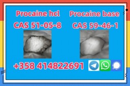 Procaine /procaine Base Cas 59-46-1 Free Sample Fast Delivery