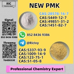 High-End Quality PM.K CAS 28578-16 -7
