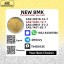How to buy Hot sales New B.MK Power CAS 5449-12-7